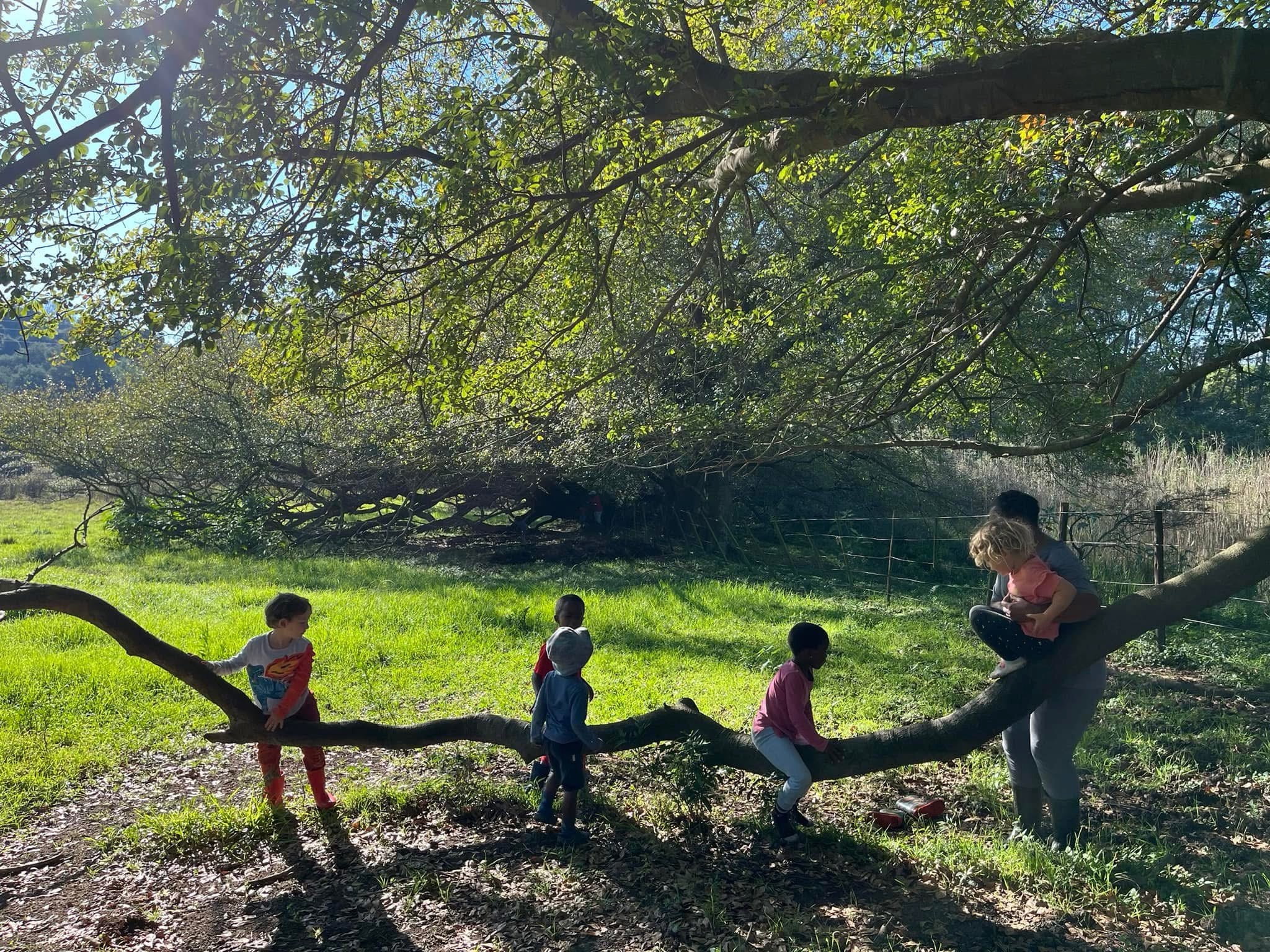 Kindergarten: photo 4