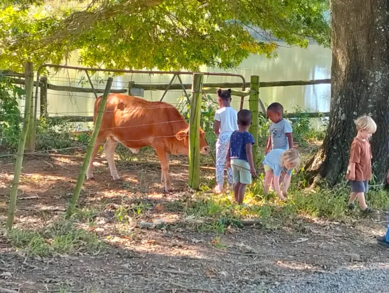 Farm